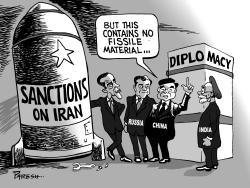 SANCTIONS & DIPLOMACY by Paresh Nath