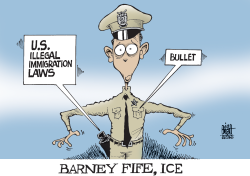 ILLEGAL IMMIGRATION ENFORCEMENT,  by Randy Bish