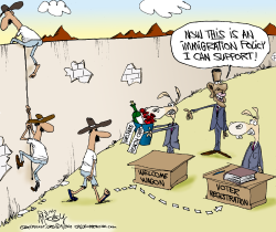 DEMS IMMIGRATION  by Gary McCoy