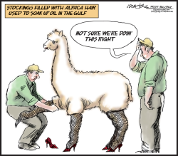 FOOL FOR YOUR ALPACA STOCKINGS  by J.D. Crowe