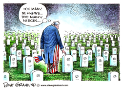 MEMORIAL DAY AND UNCLE SAM by Dave Granlund