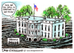 BP SPILL AND OBAMA POLLS by Dave Granlund