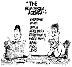 HOMOSEXUAL AGENDA by Mike Lane