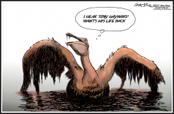 OILY PELICAN WANTS HIS LIFE BACK by J.D. Crowe