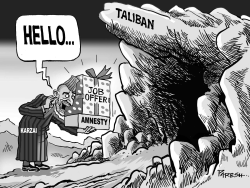 KARZAI OFFERS AMNESTY by Paresh Nath