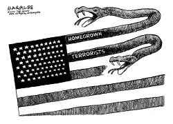 HOMEGROWN TERRORISTS by Jimmy Margulies
