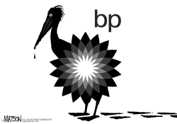 BP PELICAN by R.J. Matson
