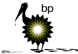 BP PELICAN- by R.J. Matson