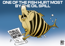 OIL SPILLS AND APPROVAL RATINGS,  by Randy Bish