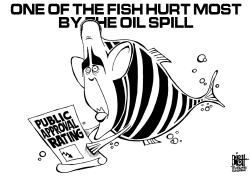 OIL SPILLS AND APPROVAL RATINGS, B/W by Randy Bish
