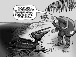 OIL SPILL COMPENSATION by Paresh Nath