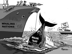 KILLING WHALES by Paresh Nath