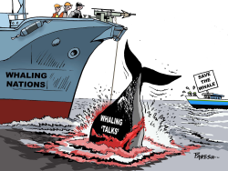 KILLING WHALES  by Paresh Nath