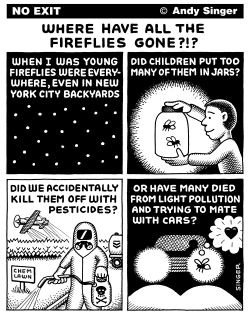FIREFLIES DISAPPEAR by Andy Singer