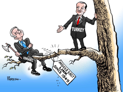 Turkey-Israel link  by Paresh Nath