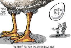 SALMONELLA OMELETTE  by Pat Bagley