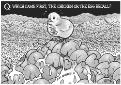 THE CHICKEN OR THE EGG RECALL by R.J. Matson