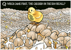 THE CHICKEN OR THE EGG RECALL- by R.J. Matson