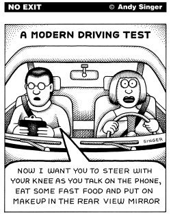MODERN DRIVING TEST by Andy Singer