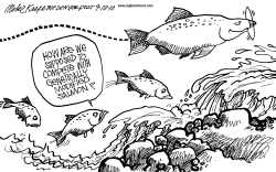 GENETICALLY MODIFIED SALMON  by Mike Keefe