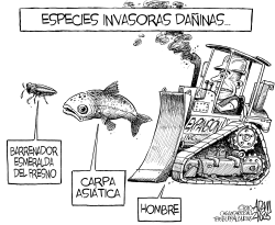 ESPECIES INVASORAS DAñINAS by Adam Zyglis