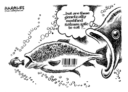 GENETICALLY MODIFIED SALMON by Jimmy Margulies