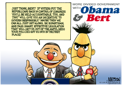 MORE DIVIDED GOVERNMENT WITH OBAMA & BERT- by R.J. Matson