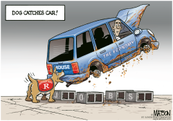 DOG CATCHES CAR- by R.J. Matson