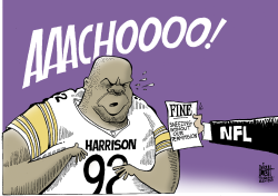 HARRISONS NFL FINES,  by Randy Bish