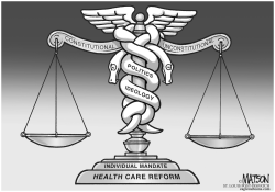 HEALTH CARE REFORM IDEOLOGICAL MANDATE by R.J. Matson
