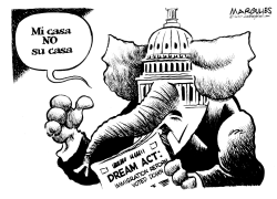 DREAM ACT VOTED DOWN by Jimmy Margulies