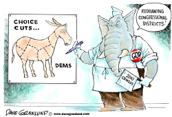 CONGRESSIONAL DISTRICTS REDRAWN by Dave Granlund