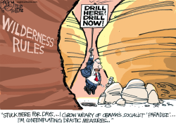 WILDERNESS RULES by Pat Bagley