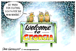 SOUTHERN ICE AND SNOW by Dave Granlund