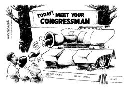MEET YOUR CONGRESSMAN by Jimmy Margulies