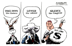 CONGRESS AND THE GUN LOBBY by Jimmy Margulies