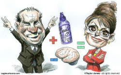 PALIN AND NIXON - YOU DO THE MATH -  by Taylor Jones