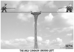 THE ONLY COMMON GROUND LEFT by R.J. Matson