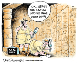 US INTEL ON EGYPT by Dave Granlund