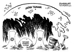 JAPAN TSUNAMI AND NUCLEAR POWER by Jimmy Margulies