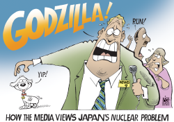 THE MEDIA AND NUCLEAR POWER,  by Randy Bish