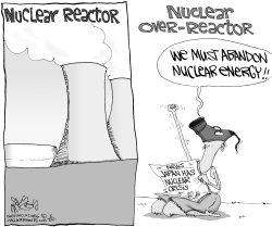 NUCLEAR OVER-REACTOR by Gary McCoy