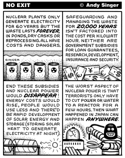 NUCLEAR POWER PROBLEMS by Andy Singer