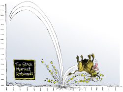 STOCK MARKET REBOUNDS  by Daryl Cagle