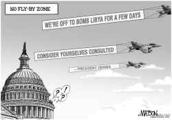 NO FLY-BY ZONE by R.J. Matson