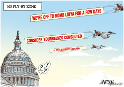 NO FLY-BY ZONE- by R.J. Matson