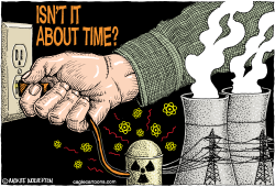 TIME TO PULL THE PLUG ON NUCLEAR POWER  by Monte Wolverton