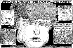 WHATS UNDER THE DONALDS HAIR by Monte Wolverton