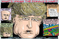 WHATS UNDER THE DONALDS HAIR  by Monte Wolverton