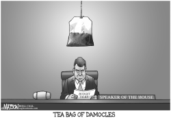 TEA BAG OF DAMOCLES by R.J. Matson